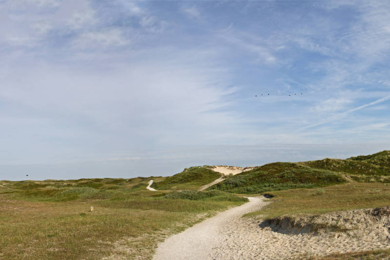Strandurlaub Callantsoog LekkerNaarZee